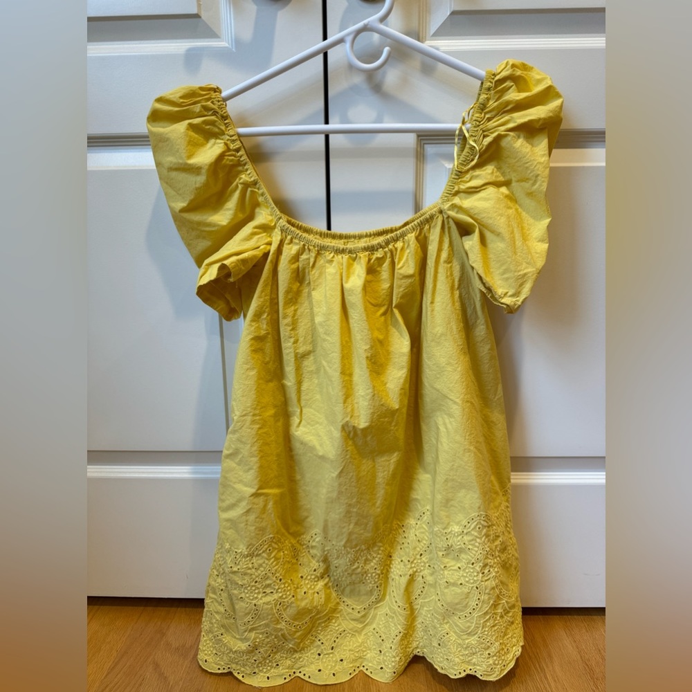 Zara embroidered mini dress